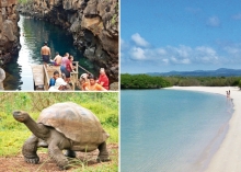 Imagen Oferta Galápagos